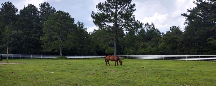 Horse Fence Build in Cantonment, FL