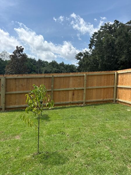 6' foot Wood Privacy in Cantonment, FL